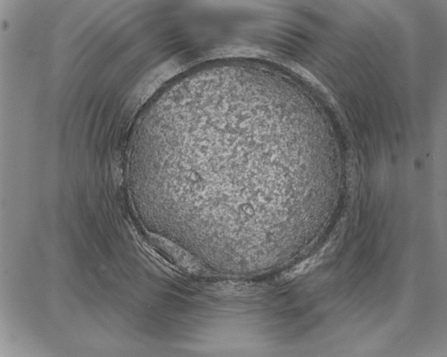 X0000087740929200705211009