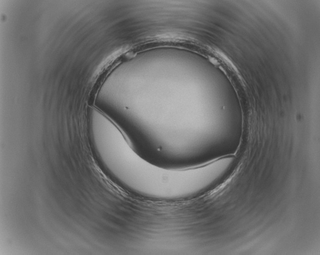 X0000087740930200705211009