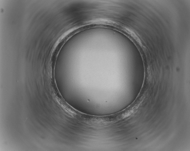 X0000087740931200705211009