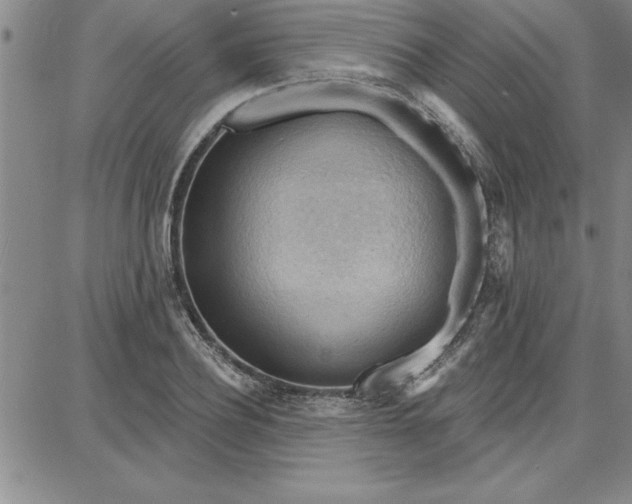 X0000087740932200705211009