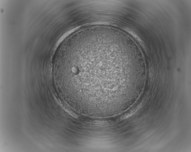 X0000087740933200705211009