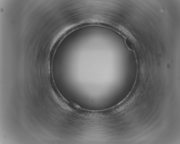 X0000087740934200705211009