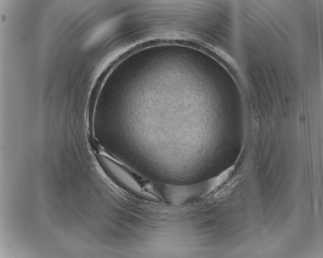 X0000087740935200705211009