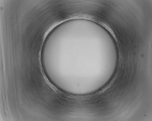 X0000087740936200705211009