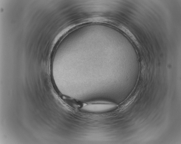 X0000087740939200705211009