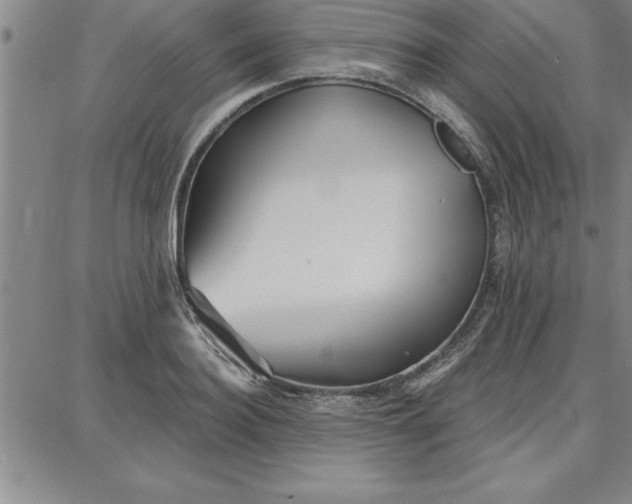 X0000087740940200705211009