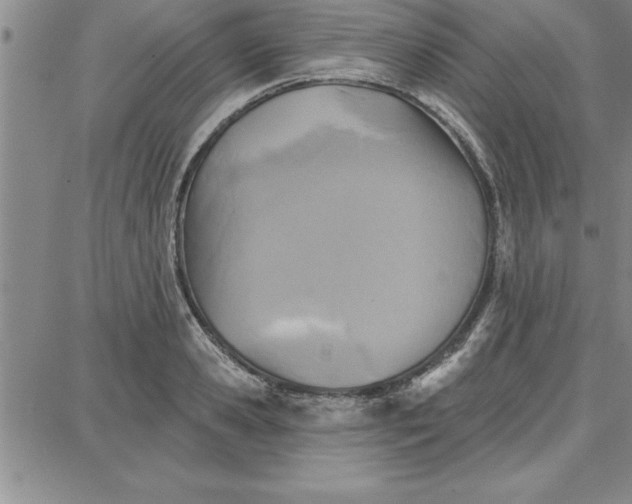 X0000087740941200705211009