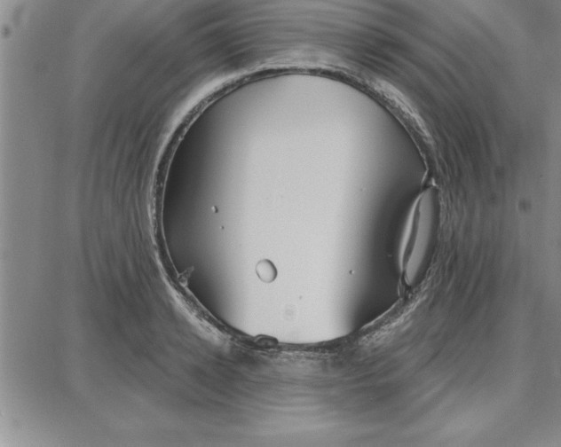 X0000087740942200705211009