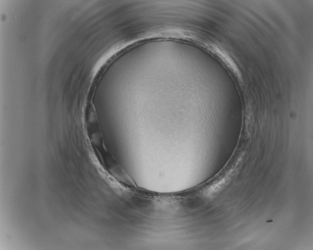 X0000087740944200705211009