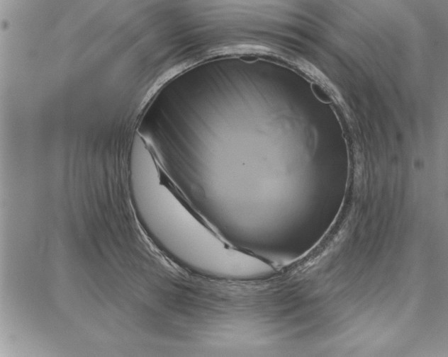 X0000087740945200705211009