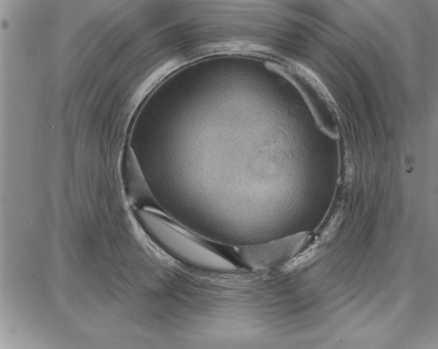 X0000087740946200705211009