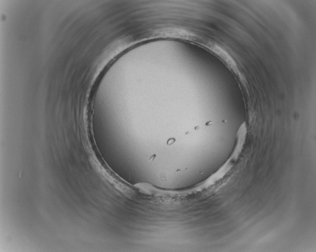 X0000087740947200705211009