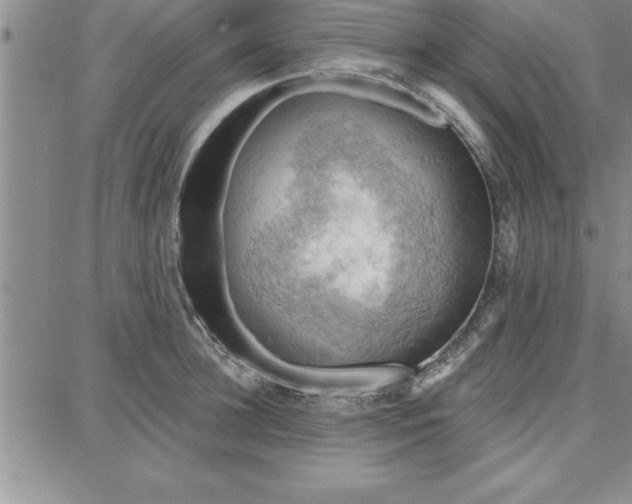 X0000087740948200705211009