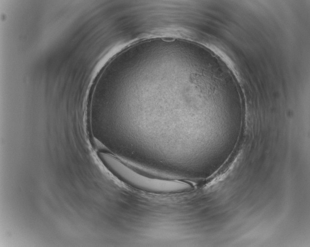 X0000087740949200705211009