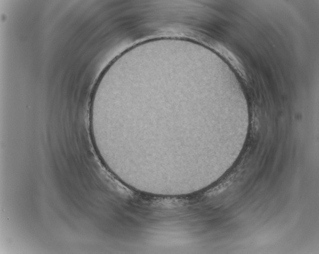 X0000087740950200705211009