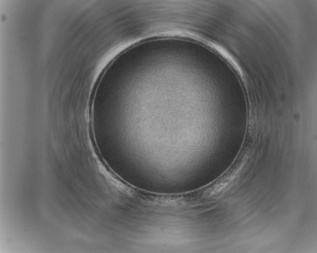 X0000087740951200705211009