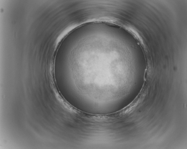 X0000087740952200705211009