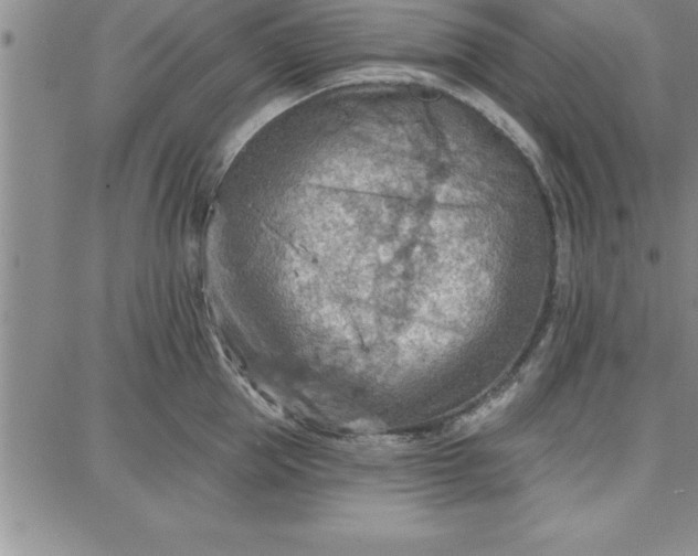 X0000087740953200705211009