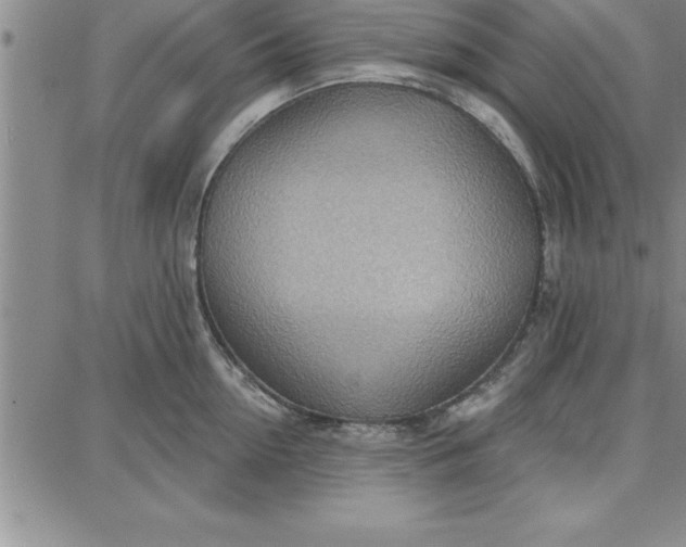 X0000087740954200705211009