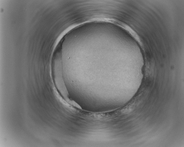 X0000087740955200705211009