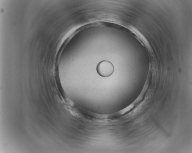 X0000087740956200705211009