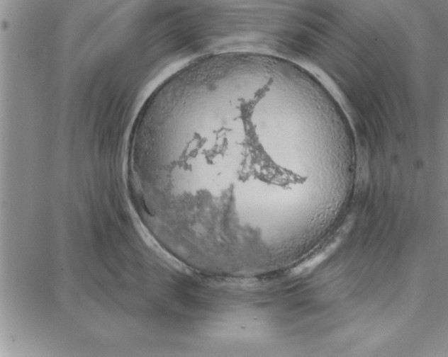 X0000087740957200705211009