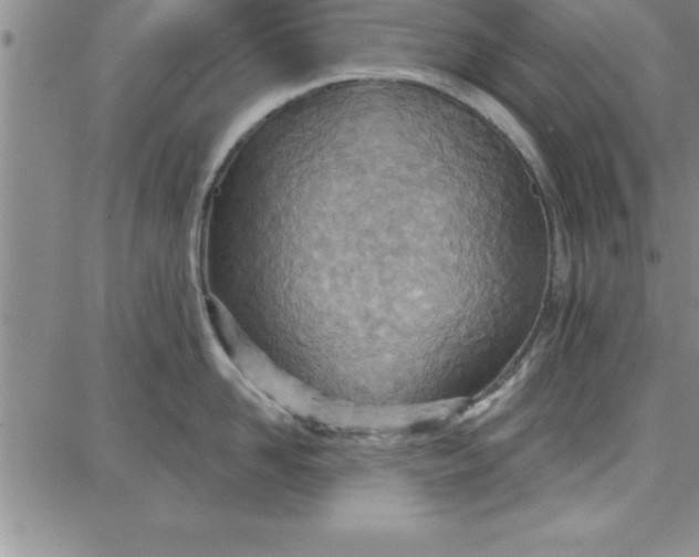 X0000087740958200705211009