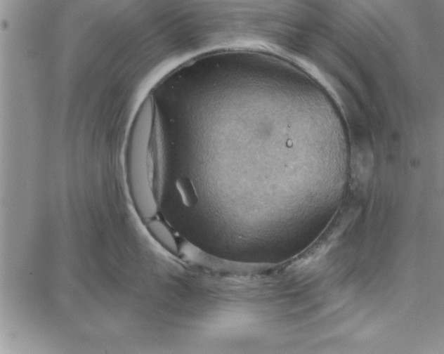 X0000087740959200705211009