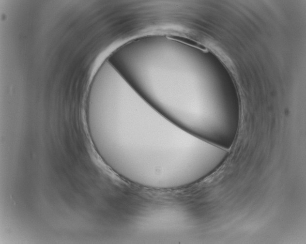 X0000087740960200705211009