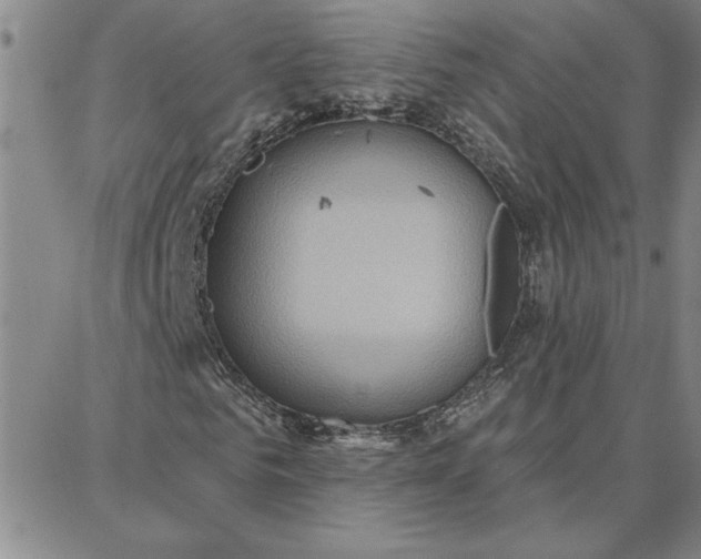 X0000087740961200705211008