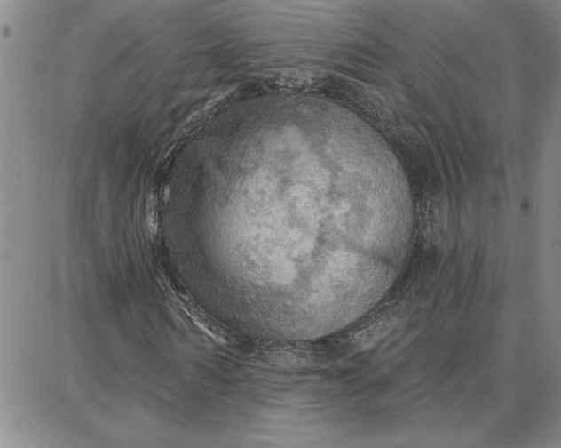 X0000087740962200705211008