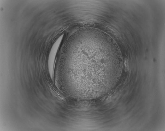 X0000087740963200705211008