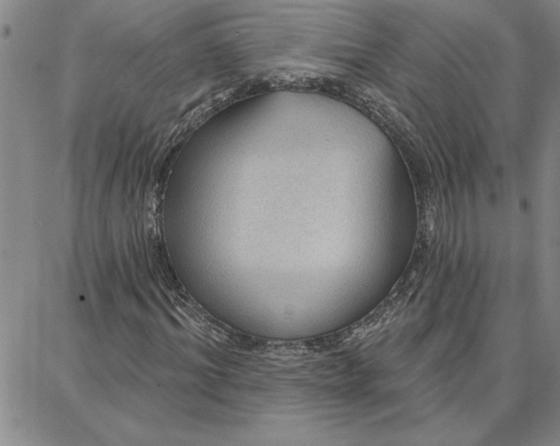 X0000087740964200705211008