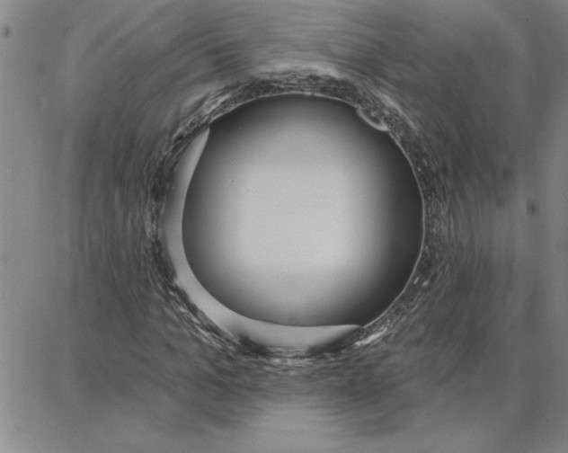 X0000087740965200705211008