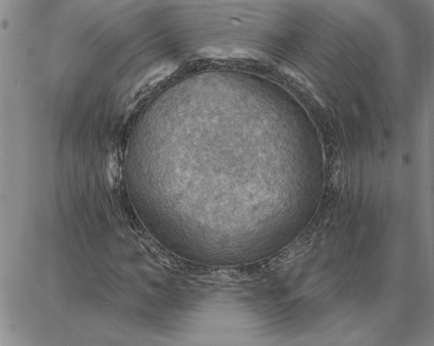 X0000087740966200705211008