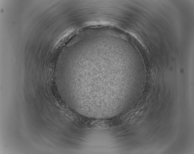 X0000087740967200705211008