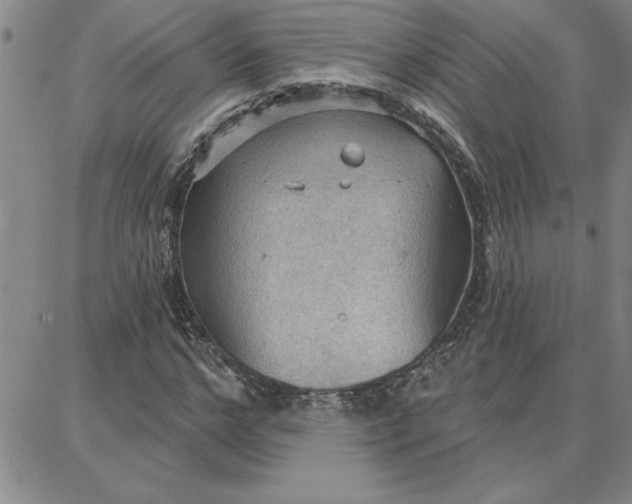 X0000087740968200705211008