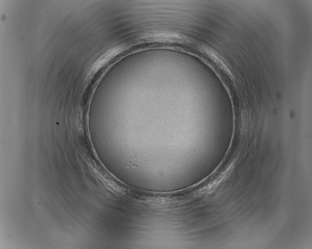 X0000087740970200705211008