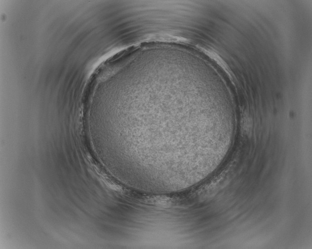 X0000087740971200705211008