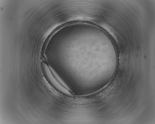 X0000087740972200705211008