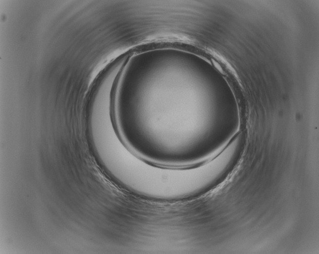 X0000087740973200705211008