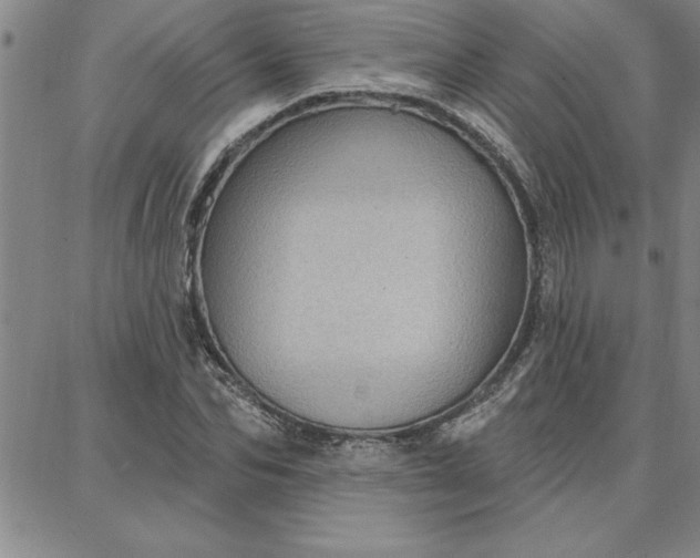 X0000087740974200705211008