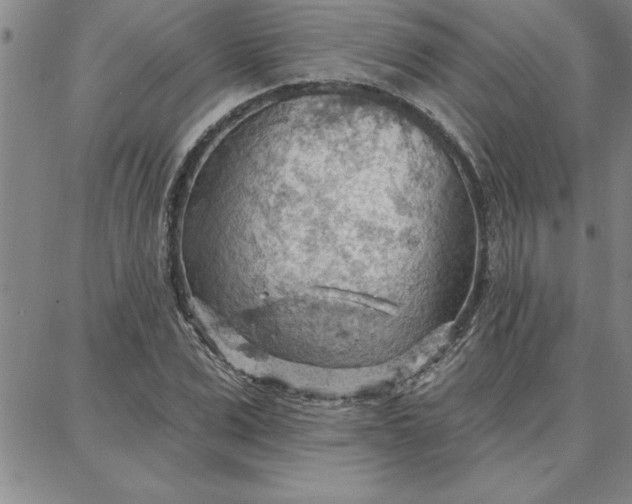 X0000087740975200705211008