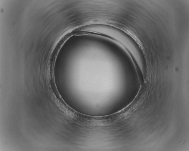 X0000087740976200705211008