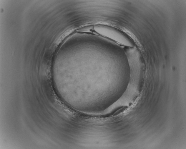 X0000087740977200705211008