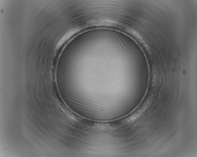 X0000087740978200705211008