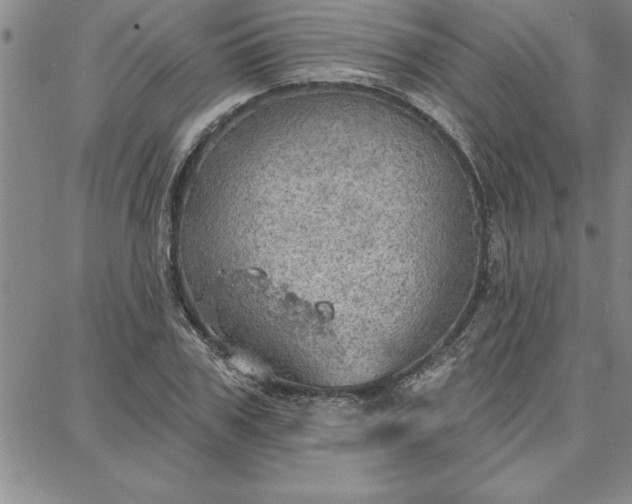 X0000087740979200705211008