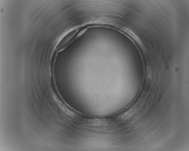 X0000087740980200705211008