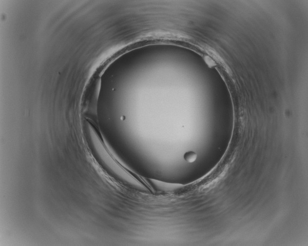 X0000087740981200705211008