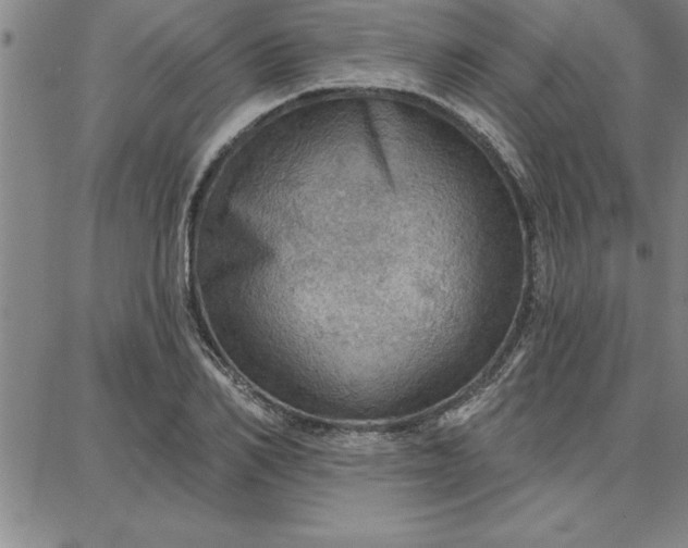 X0000087740982200705211008